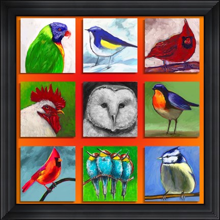 Framed Birds Print