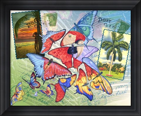 Framed Butterfly Postcards Print