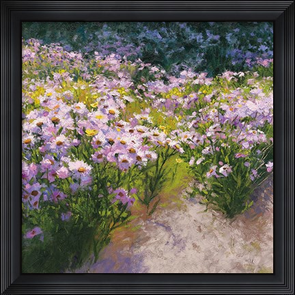 Framed Buckhorn Aster Show Print