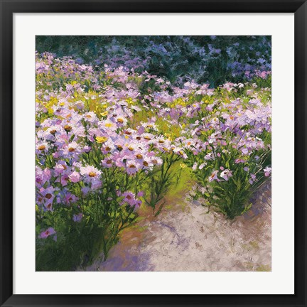 Framed Buckhorn Aster Show Print