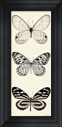 Framed Butterfly BW Panel II Print