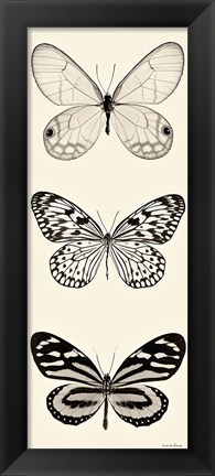 Framed Butterfly BW Panel II Print