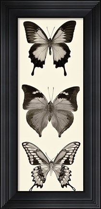 Framed Butterfly BW Panel I Print