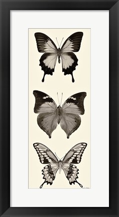 Framed Butterfly BW Panel I Print