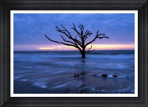 Framed All that Remains Print