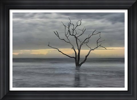 Framed Gray Skies Print