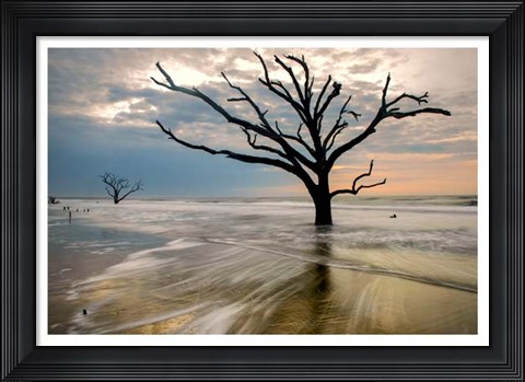 Framed Hangin On Print