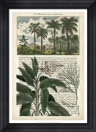 Framed Journal of the Tropics I Print