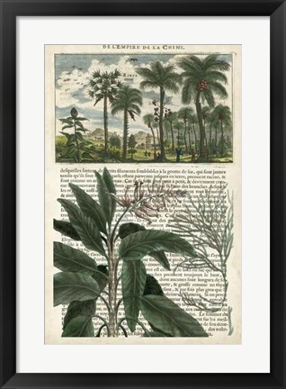 Framed Journal of the Tropics I Print