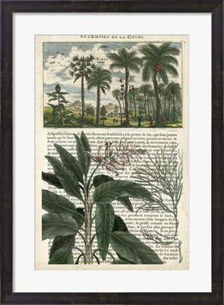Framed Journal of the Tropics I Print
