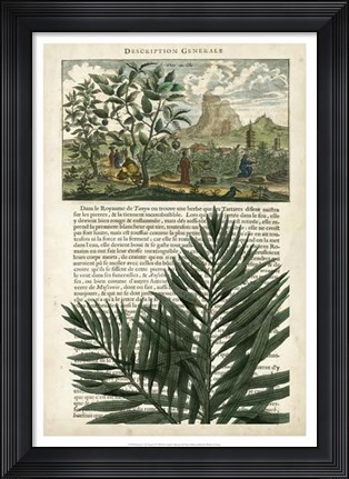 Framed Journal of the Tropics II Print