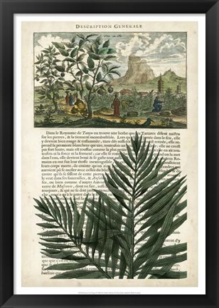 Framed Journal of the Tropics II Print