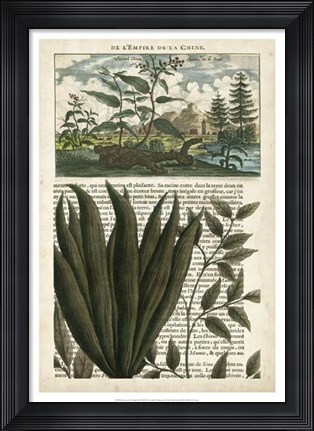 Framed Journal of the Tropics III Print