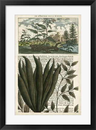Framed Journal of the Tropics III Print