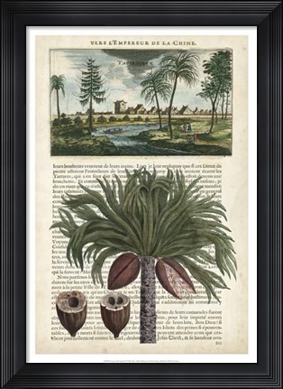 Framed Journal of the Tropics IV Print