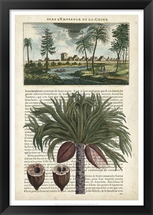 Framed Journal of the Tropics IV Print