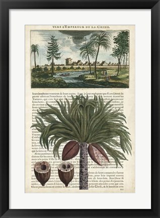 Framed Journal of the Tropics IV Print