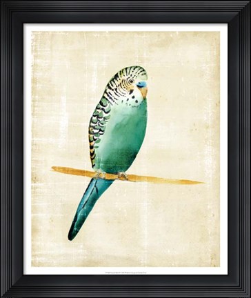 Framed Fanciful Birds II Print
