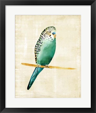 Framed Fanciful Birds II Print