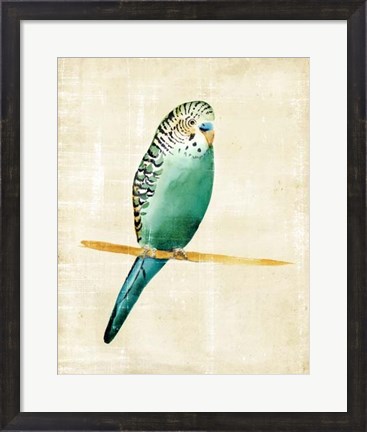 Framed Fanciful Birds II Print