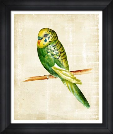 Framed Fanciful Birds III Print