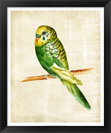 Framed Fanciful Birds III Print