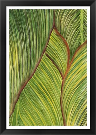 Framed Tropical Crop II Print