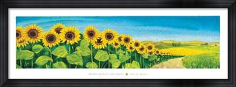 Framed Valle Dei Girasoli Print