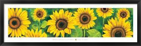 Framed Campo di Girasoli Print