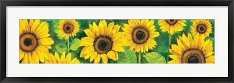 Framed Campo di Girasoli Print