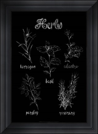 Framed Herb Varieties Print