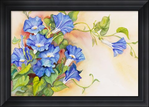Framed Morning Gloria Vine Stretching Print