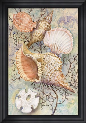 Framed Jewels of the Sea Print