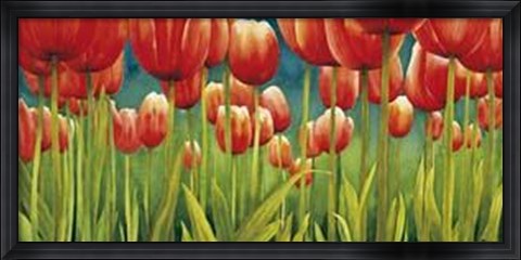 Framed Mg Luffarelli - Fra I Tulipani Print