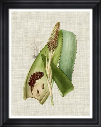 Framed Elegant Tropicals I Print