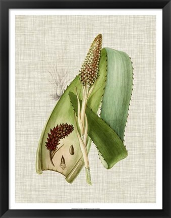 Framed Elegant Tropicals I Print