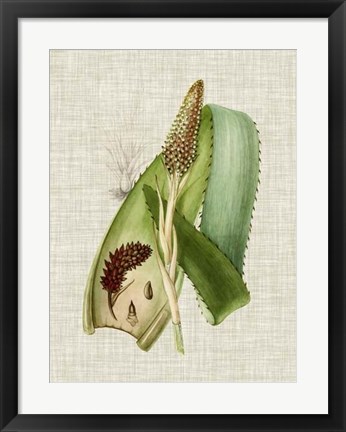Framed Elegant Tropicals I Print