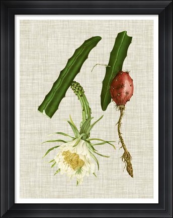 Framed Elegant Tropicals II Print