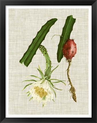 Framed Elegant Tropicals II Print