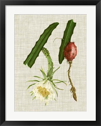Framed Elegant Tropicals II Print