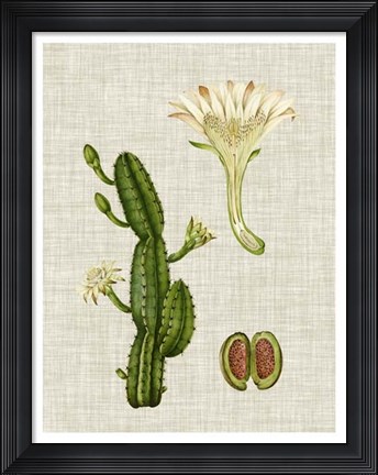 Framed Elegant Tropicals III Print
