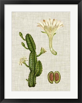 Framed Elegant Tropicals III Print