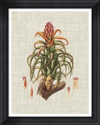 Framed Elegant Tropicals IV Print