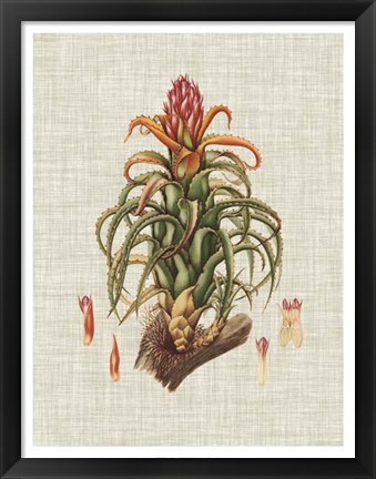 Framed Elegant Tropicals IV Print