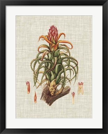 Framed Elegant Tropicals IV Print