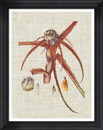 Framed Elegant Tropicals VI Print