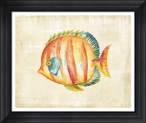 Framed Aquarium Fish II Print