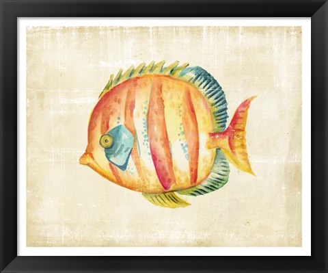 Framed Aquarium Fish II Print