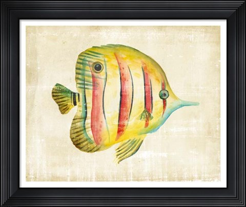 Framed Aquarium Fish III Print