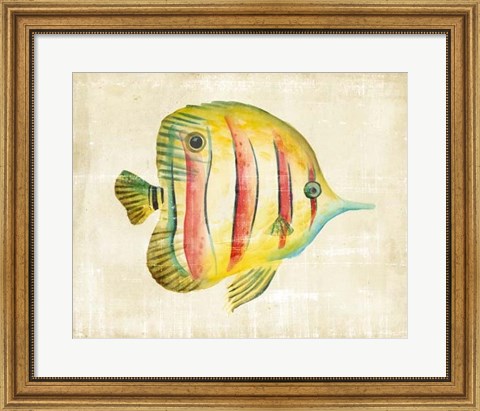 Framed Aquarium Fish III Print